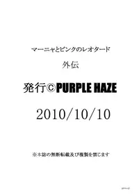 [Purple Haze (Lime)] Manya to Pink no Leotard Gaiden ~The Extra Story~ | Manya and the Pink Leotard ~The Extra Story~ (Dragon Quest IV) [English] [EHCOVE]