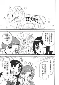 [Anthology] Cure Bitch HC Heartcatch