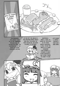 (Air Reitaisai 8) [Yashiya (YASSY)] Chotto Ecchi na Flan-chan Kahitsushuuseihan (Touhou Project) [English] [G Just G]