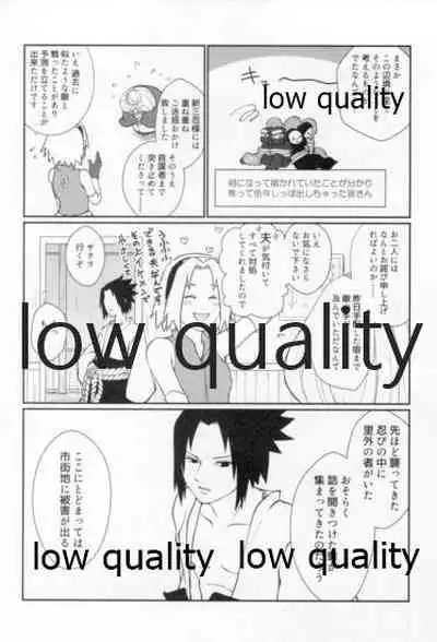 Time Travel Honeymoon 2