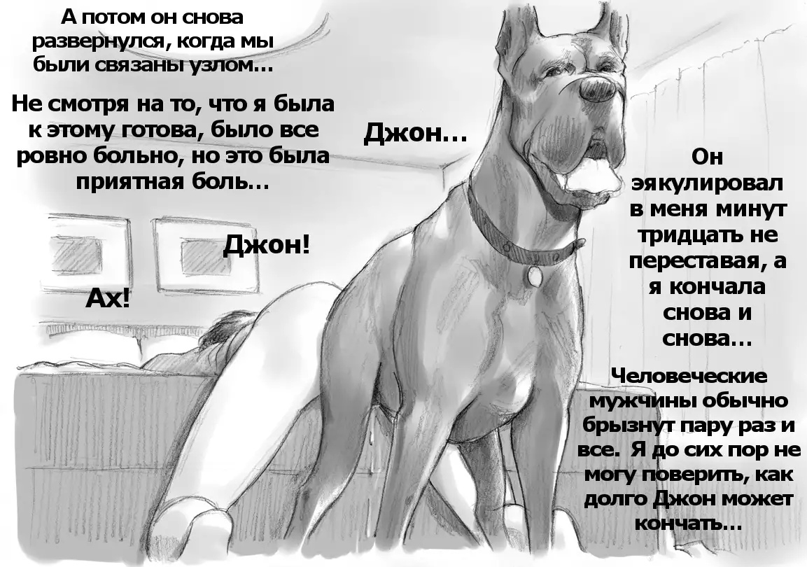 Himitsu no Inukko Club | The Secret Puppy Club