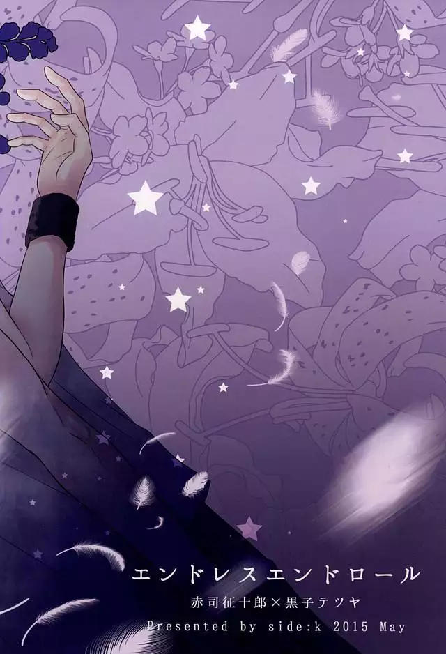 Endless End Roll