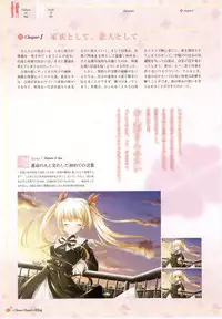 clover heart's visual fan book