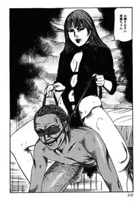[Sanjou Tomomi] Niizuma No Shuuchi Play