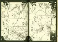 草莓100分 13