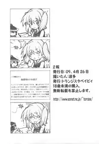 (COMIC1☆3) [Transistor Baby (Hata)] Usotsuki Yuusha to Tsundere Maou (Dragon Quest I)