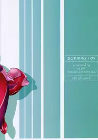 (C70) [GUST (Harukaze Soyogu)] Burning!! 3 (Mobile Suit Gundam SEED DESTINY) [English] [Rhapfan]