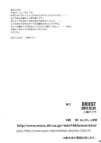 (C93) [BRIEST (Yatsushima Tetsuya)] T2R/13 (Various)