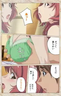 [Cyberworks/TinkerBell] Aniyome wa Ijippari #02 Complete Ban [Digital]