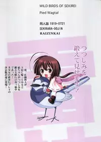 (C74) [Raijinkai (Haruki Genia)] Seki Rara (Sekirei)