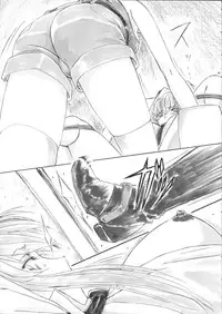 (C87) [AXZ (Shinobu Akira)] Angel's Stroke 83 Malkal Shock! (Code Geass: Akito the Exiled)