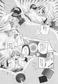 [Sakuya Shion]Watashi wo nikudorei ni shitekudasai (PLEASE HURT ME, AS A SLAVE....)