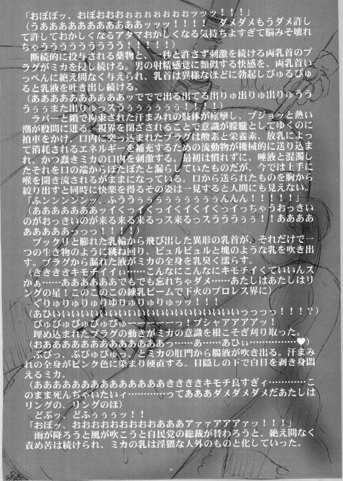 The Program of Rainbow Colors
