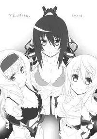 (C80) [Himura Nyuugyou (Himura Kiseki)] Yuuzai Shouko Bukken Sangou (IS <Infinite Stratos>)