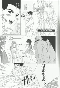 [LFM (Usagi)] Flashing Pink (Sakura Taisen)