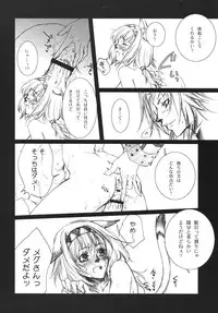 (C75) [Akai Tsubasa, 50BMG (Tachibana Chata, Shindou Nobumichi)] LOVE FOOL.09 (Final Fantasy XI)