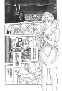 Men's Dolphin 2000-11 Vol. 15