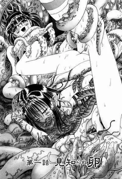 BowRei - The Secret Garden Vol.1- Tentacle Reptiles Hell Album