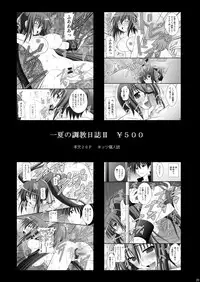 (C80) [Asanoya (Kittsu)] Ichika no Choukyou Nisshi 3 (IS <Infinite Stratos>)