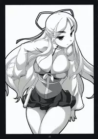 (C73) [NF121 (Midori Aoi)] Totsugeki Tonari no Miko Maid (Doki Doki Majo Shinpan!)