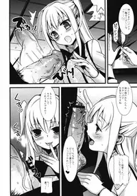 (Futaket 5) [abgrund (udk)] HOLIC + HOLIC 2 SIDE S (Maria Holic)