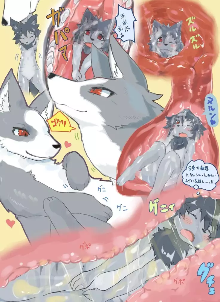 kitsune full tour