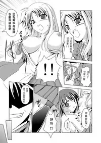 (C74) [TRICKorTREAT (Kagura Tsukune)] InSulT II (Mahou Shoujo Lyrical Nanoha) [Chinese] [靴下汉化组]