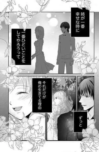 Ane wa Otouto ni Ubawareru 1-6