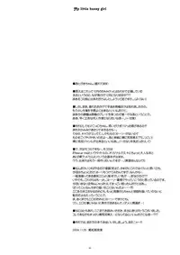 [Ice Pink (Norimatsu Nanami)] My little bunny girl [Digital]