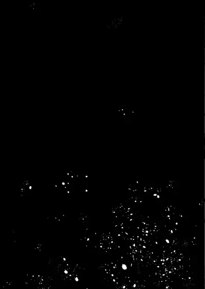 Zenbu Kimi no Sei da. II