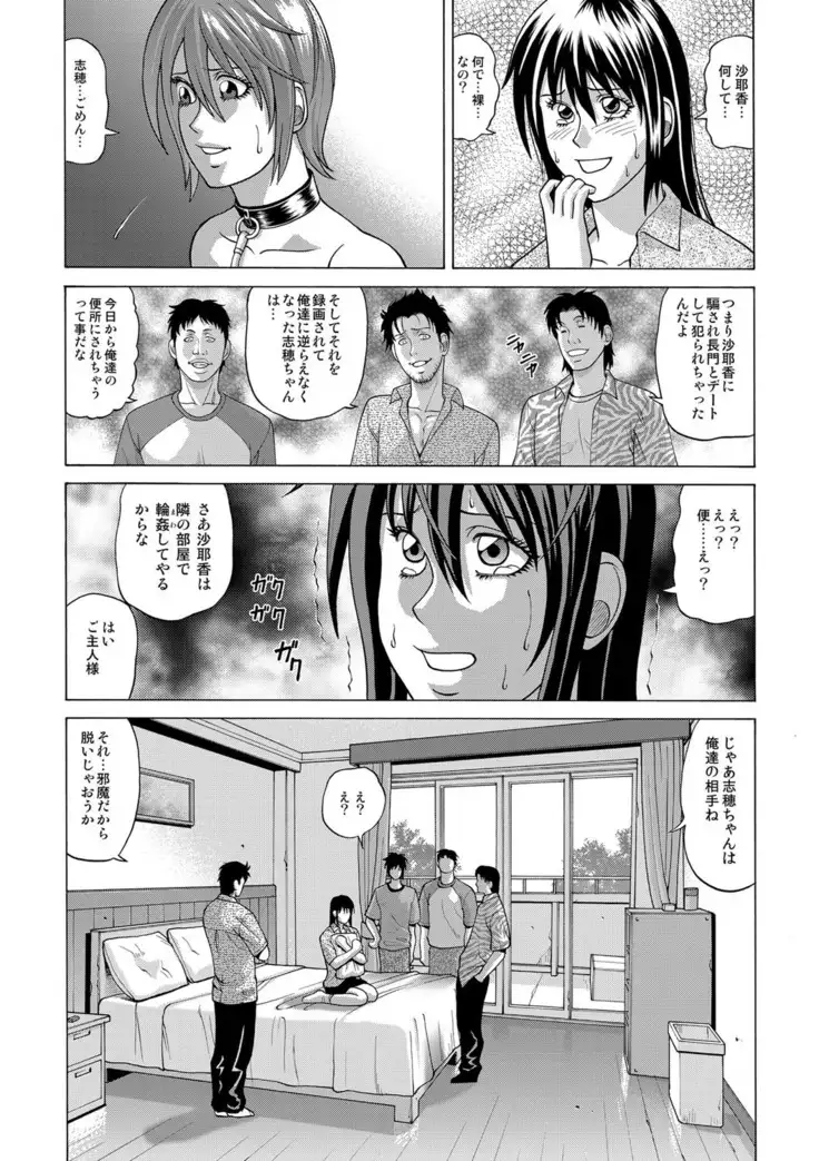 In the case of Shiho Kamimaki -First edition-