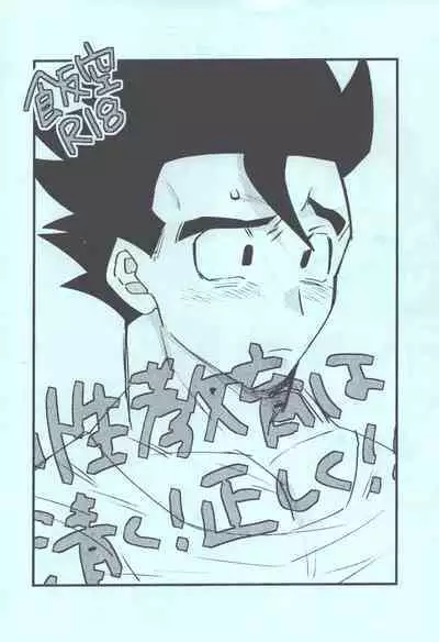 Seikyouiku wa Kiyoku! Tadashiku!!