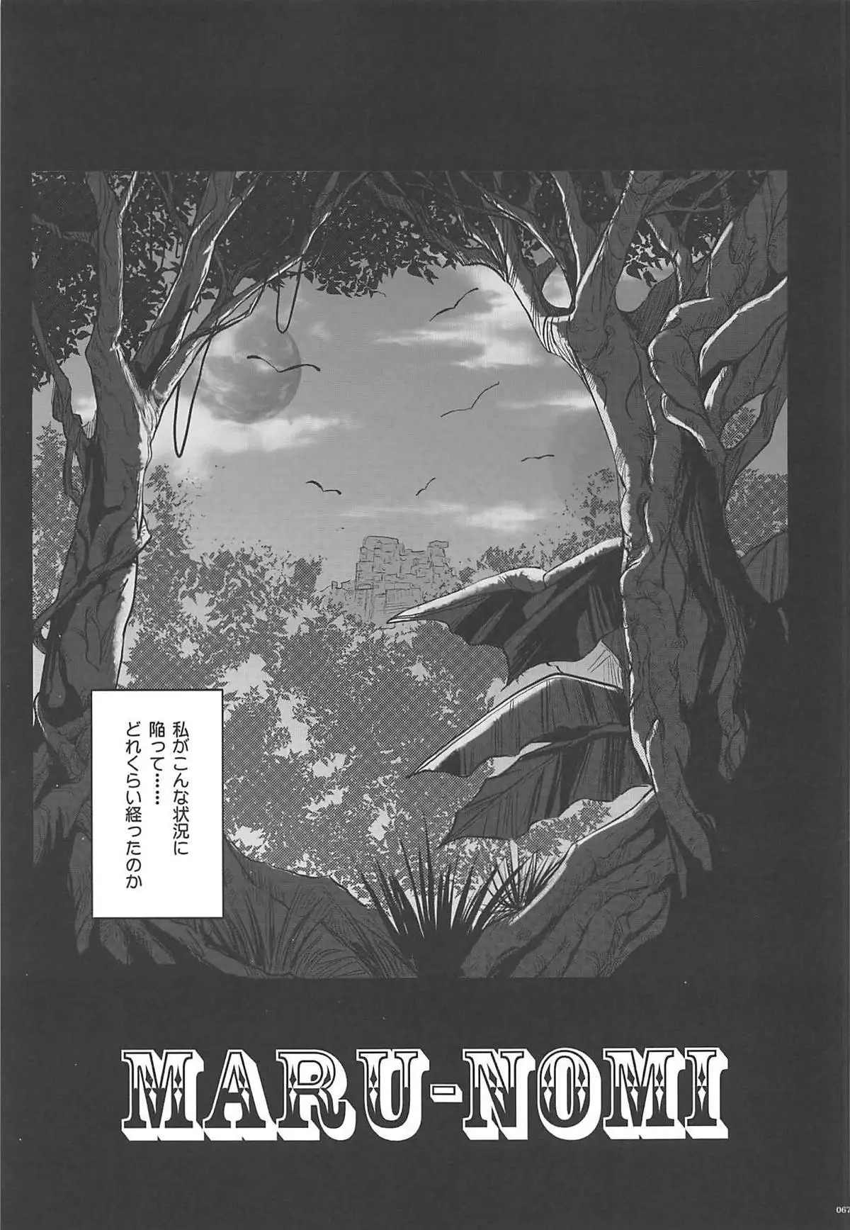 1006 Nano - Cyclone no Soushuuhen