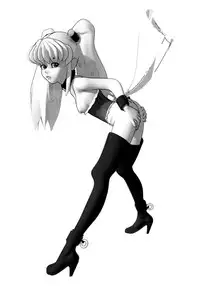 [DPP] usuyami Twillight's Last Gleaming (nadesico)