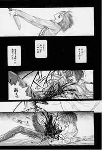 [Karino Hasumi] DX