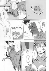 (RTS!!5) [Shounen-H (Yuuki)] Neko ni Natta Oikawa-san (Haikyuu!!)