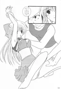 (CR29) [VENOM, ElectromagneticWave (various)] WILD FLOWERS (Kanon)