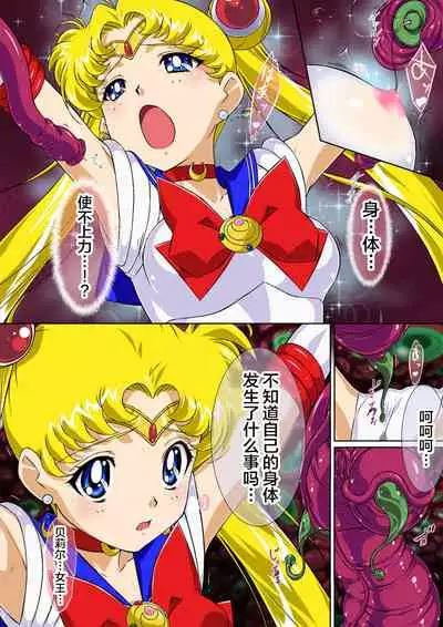 Sailor Moon Chu!