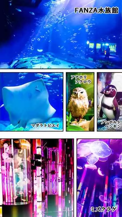 [STUDIO HUAN (Raidon)] Panpan Travelers Okinawa Shuudan Rape Zumi Harem Hitoritabi Hen