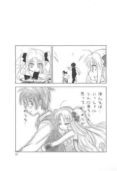 Maigo no Maigo no Hime-sama Plus