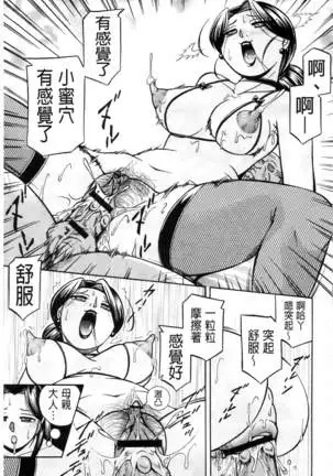 Reijou Maiko ~Kyuuke no Hien~