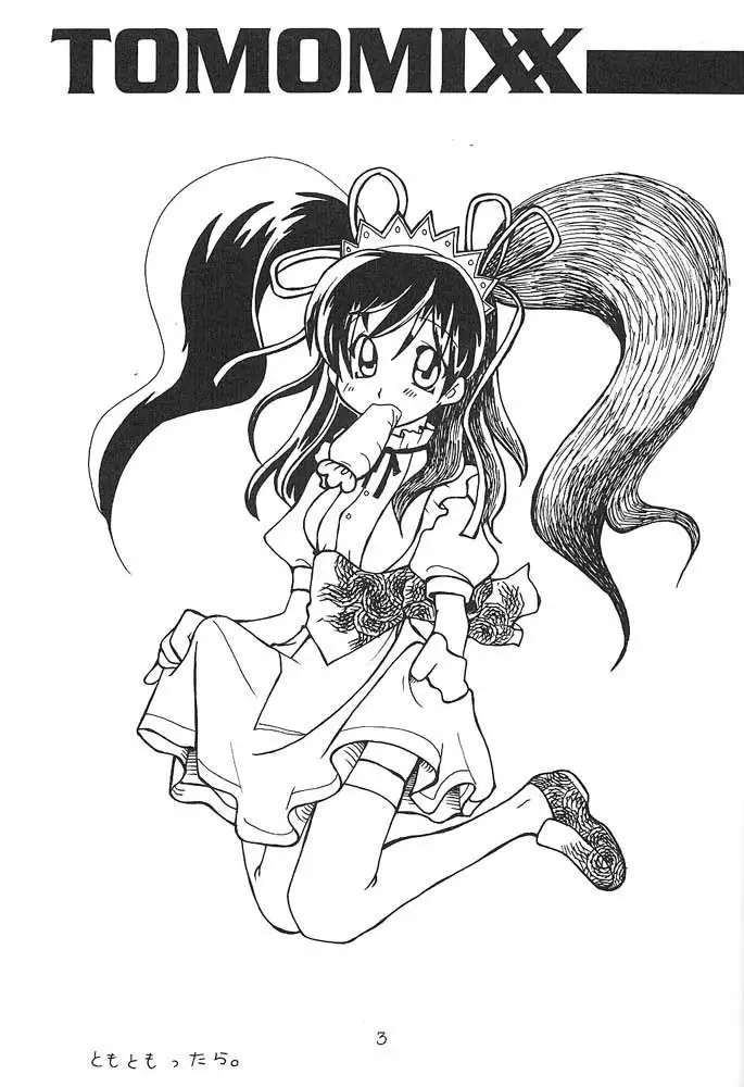 TOMOMIXX