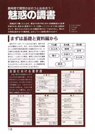 PC Bishoujo Software Strategy Book: Strategy King 2