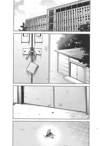 Gotoubun no Seidorei ∬