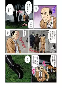 Gaticomi Vol. 33