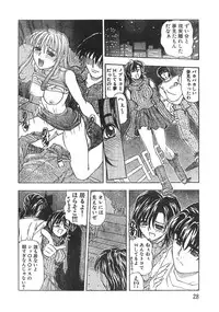 Men's Dolphin 2000-11 Vol. 15