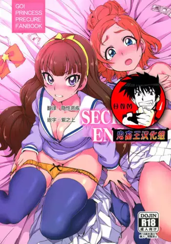 (C88) [50on! (Aiue Oka)] SECRET ENGAGE (Go! Princess PreCure) [Chinese] [鬼畜王汉化组]