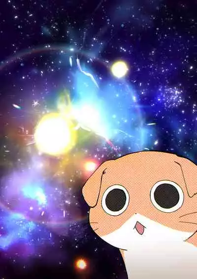 UR Neko-chans Life