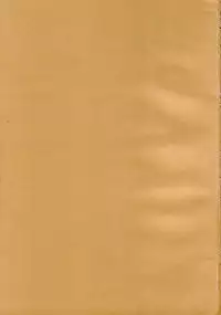 (C68) [DiGiEL (Yoshinaga Eikichi)] DiGital AngELs SIDE-D (Various)