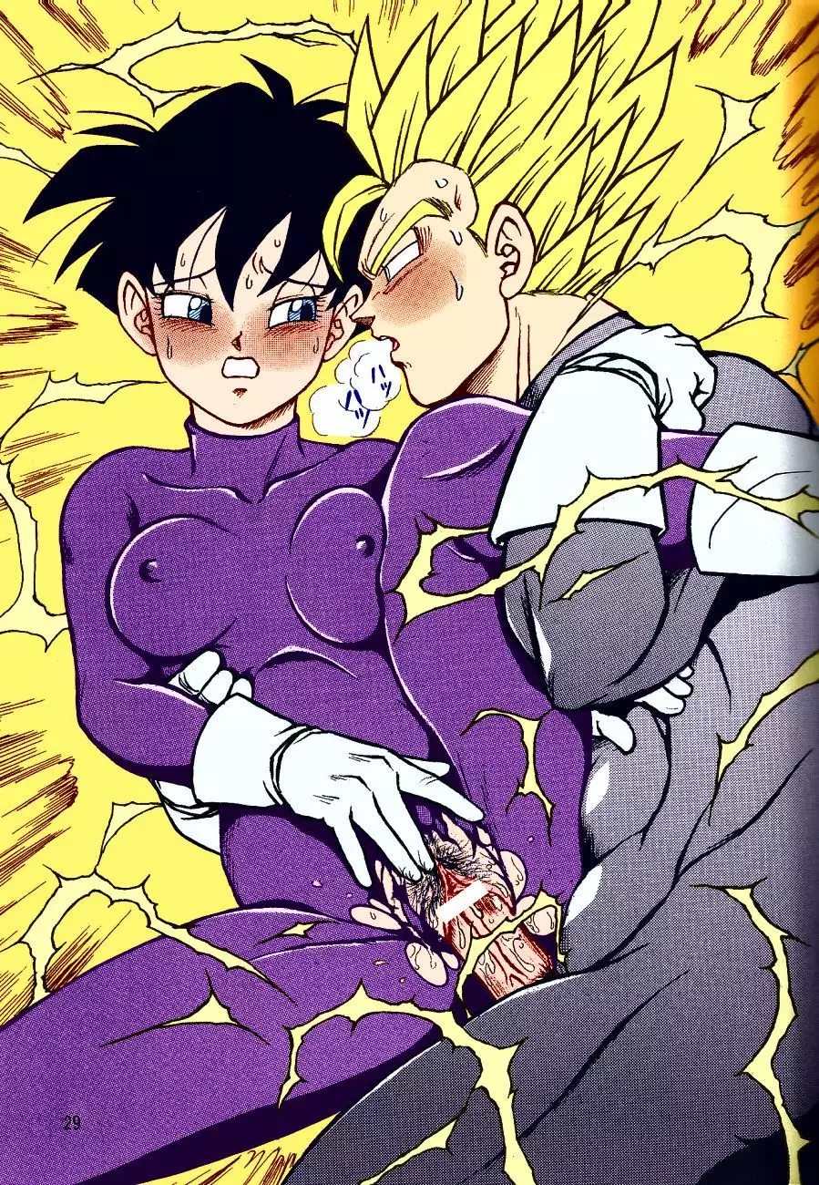 DragonBall H Maki San
